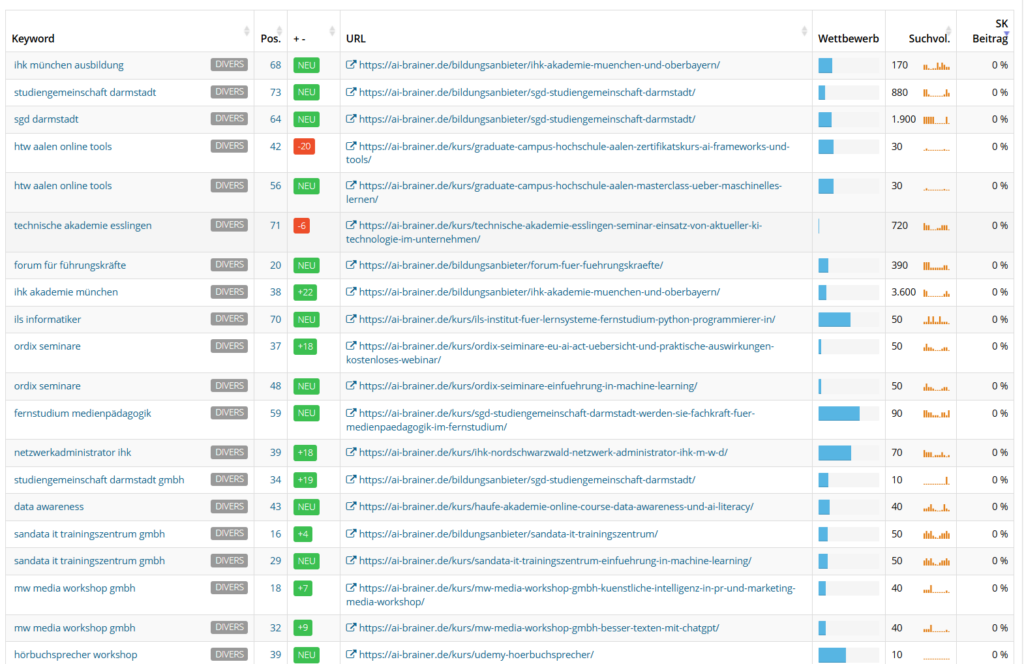 SEO Report monatlich